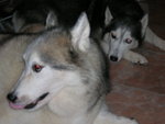 DSCN2631