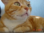 
Dsc01095