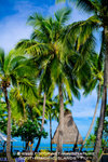 Fiji Westin Hotel