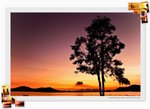 �ꧢ���鸨 BeachSunset