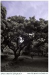 UIR_Photo_1