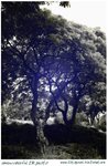 UIR_Photo_3