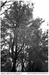 UIR_Photo_4
