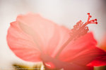 _MG_9097