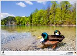 �F��~�N�����������Z��(�S���¤��Z���^�A�Z����ˡ]Fussen�^����4�����C