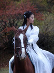 
xin_36040329