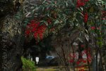 DSC_1420