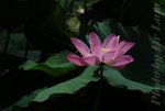 DSC_1979 -