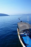 DSCF7648