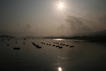TAI MEI TUK001