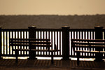 TAI O001