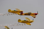 IMG_2883t