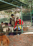 20080214 034