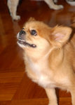 20080706 054