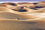 Desert Beauty_02