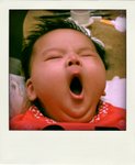 IMG_1788-pola