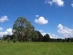 P7011484 - 2008-07-01 at 14-15-41