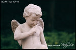 nEO_IMG_2746-001
