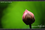 nEO_IMG_49720026
