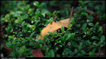 LEE_0201