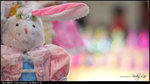 nEO_IMG_DSC03277