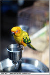 nEO_IMG_DSC01615