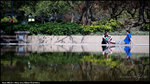 nEO_IMG_DSC02531