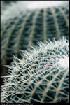nEO_IMG_DSC03384