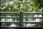 nEO_IMG_DSC04208
