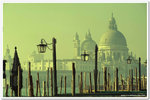 
Santa Maria della Salute - Venezia