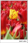 IMG_7878