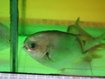 P7050110