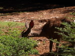 Yosemite03062007-4