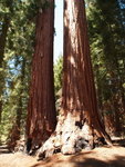 Yosemite03062007-7