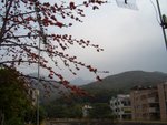 CIMG6343