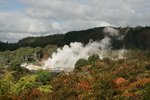 IMG_4240