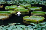 PICT0142