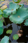 PICT0150