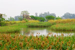 Nam_Sang_Wai_6141