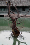 LI_JIANG_1_0034