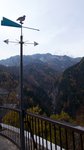 20081022 184