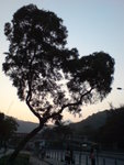 20080415