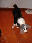 DSC00308