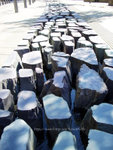CIMG6811