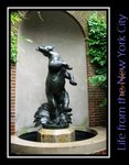 CIMG1536