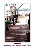 CIMG1867