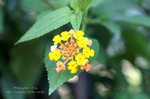PICT0764