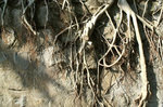 PICT0775