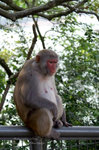 PICT0782