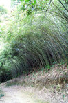 PICT0816